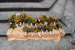 15.08.2020 - Wniebowzięcie Najświętszej Maryi Panny